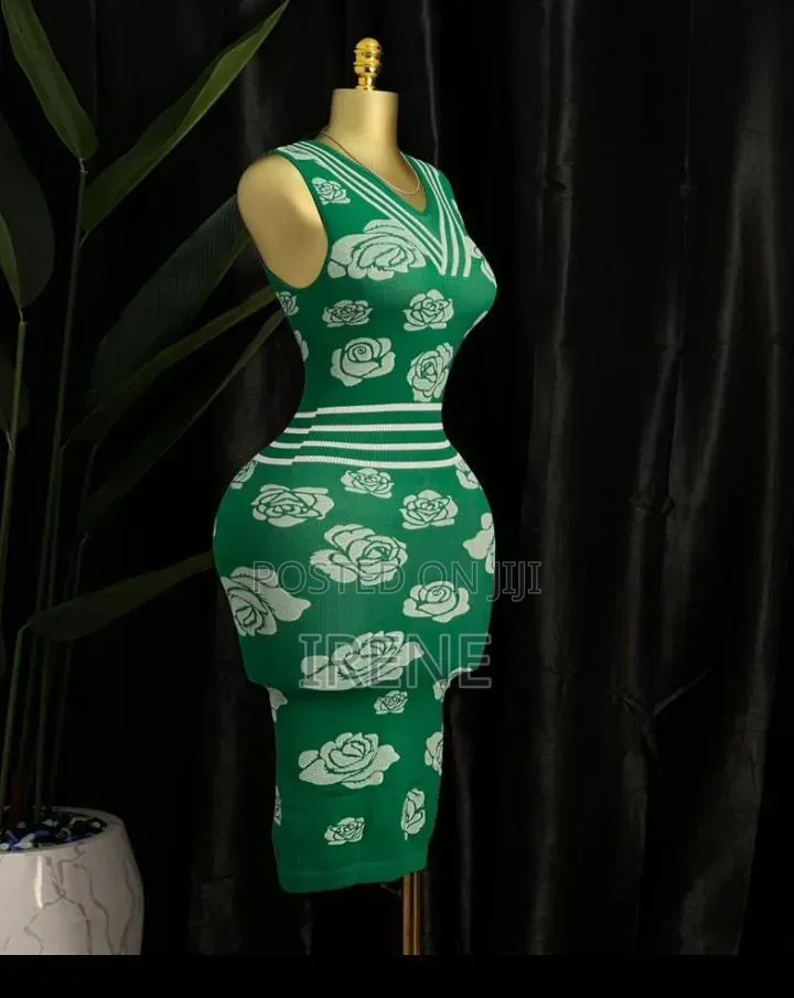 Ladies Dress