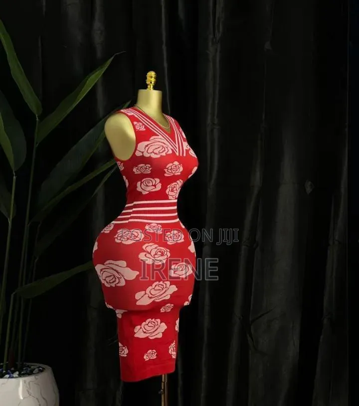 Ladies Dress