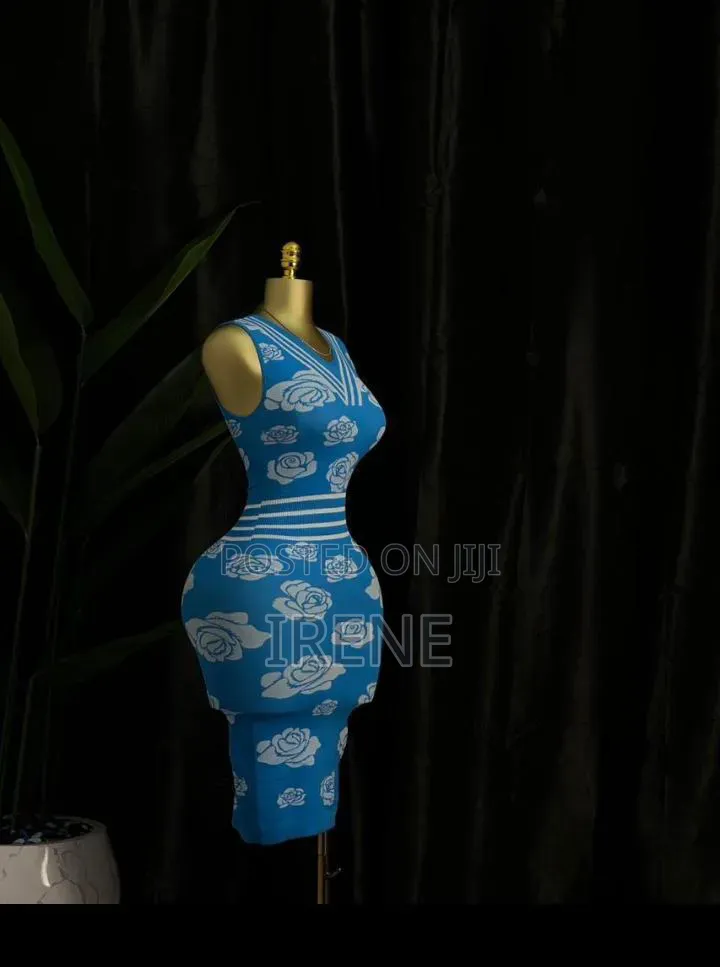 Ladies Dress