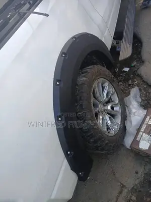 Dodge Ram 2016,2017,2018 Fender Moulding