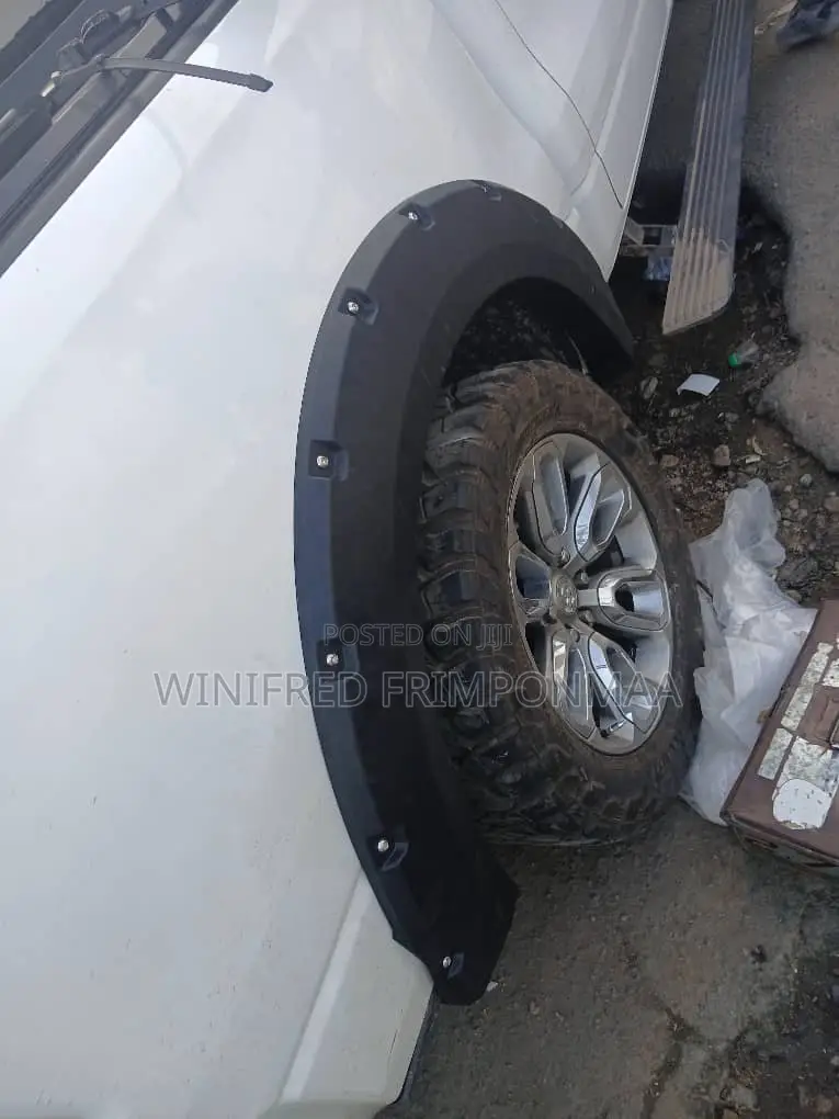 Dodge Ram 2016,2017,2018 Fender Moulding