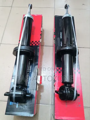 Original FCS Ford F150 Strut Without With Spring From USA