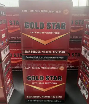 Gold Star SMF Batteries 9PLT