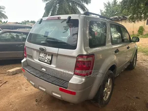 Ford Escape 2010 Silver