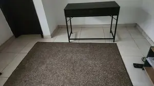 Office Desk + Rug