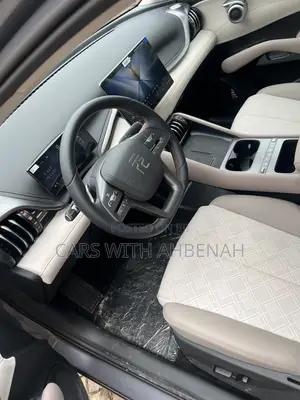 New BYD Yuan Plus 2025 Gray
