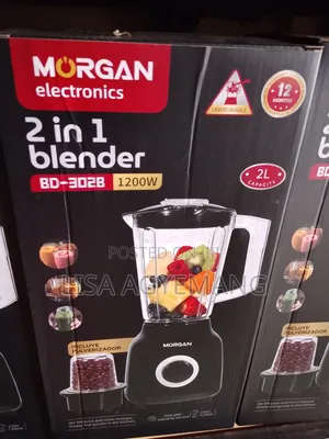 Morgan 2 in 1 Blender (2L)