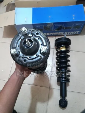 Authentic MEGA Ford F150 Complete Strut With Spring Assembly From USA