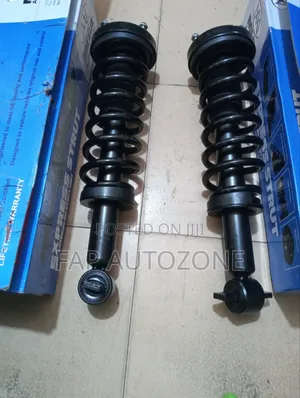 Original MEGA Ford F150 Complete Strut With Spring Assembly From USA.