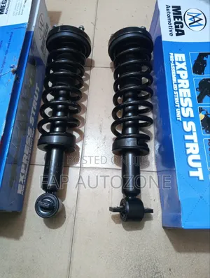 Original MEGA Ford F150 Complete Strut With Spring Assembly From USA.