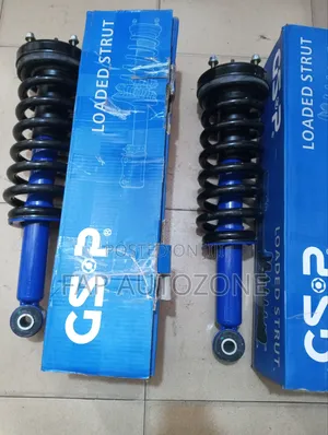 High Premium Quality API FORD F150 Complete Strut Assembly From USA