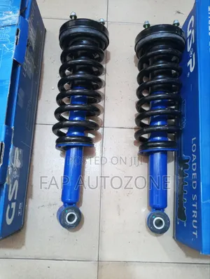 High Premium Quality API FORD F150 Complete Strut Assembly From USA