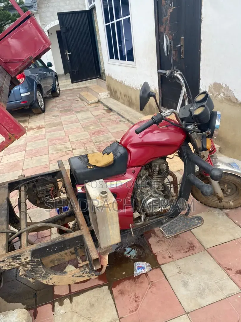Luojia LJ125-3 2024 Red