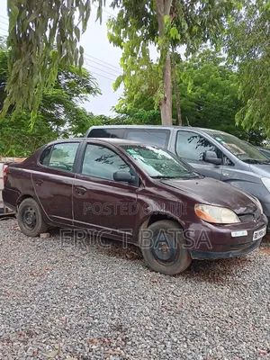Toyota Echo 2011 Beige