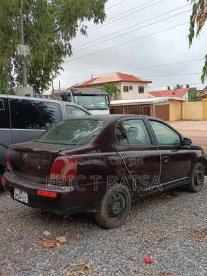 Toyota Echo 2011 Beige