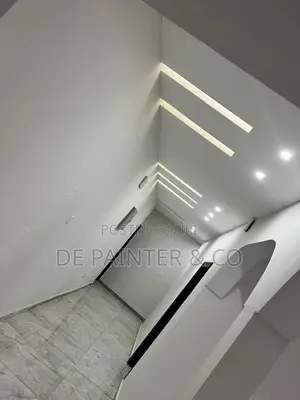 Professional Painter_Reliable and Affordable