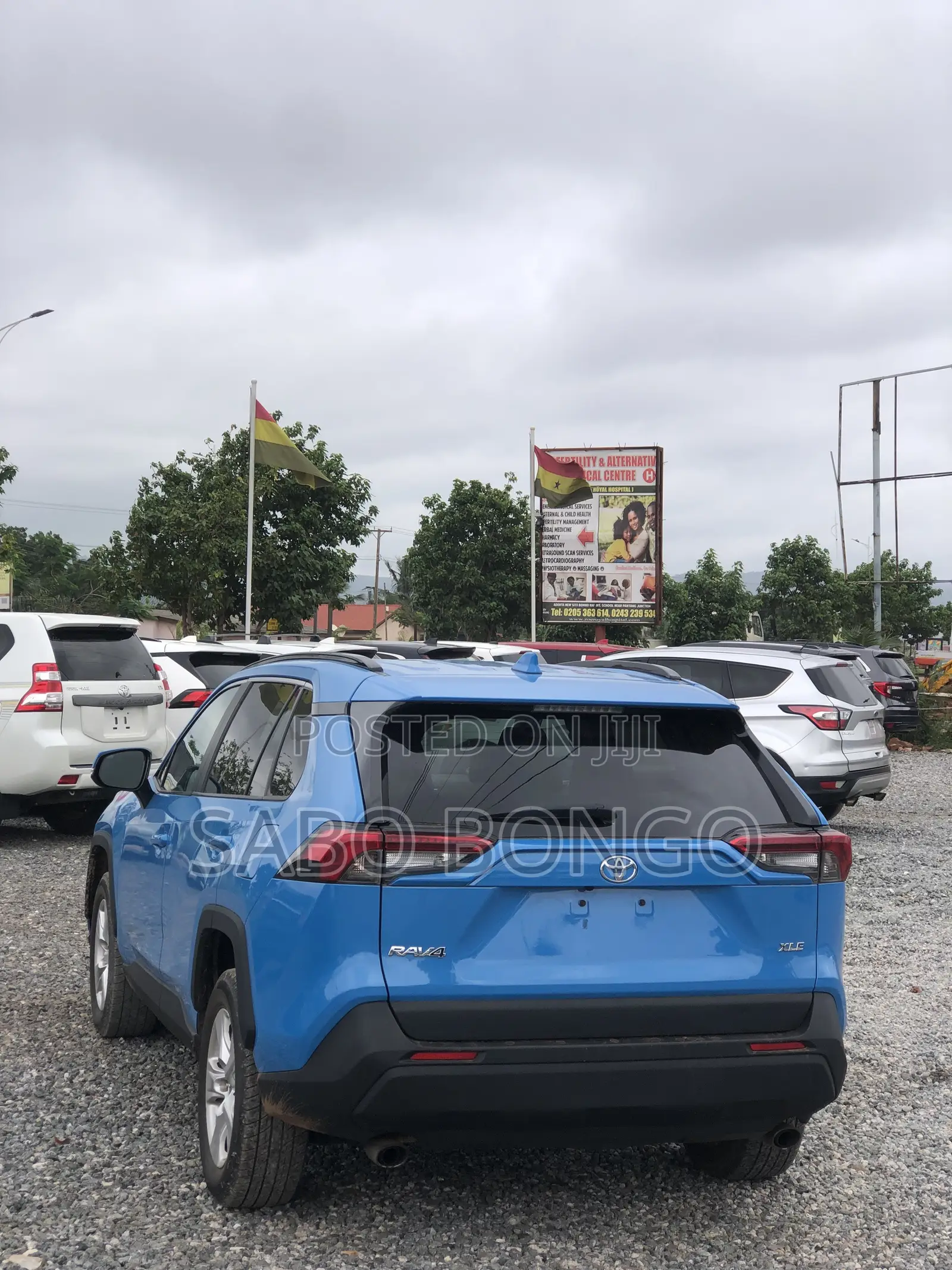 Toyota RAV4 XLE AWD 2019 Blue