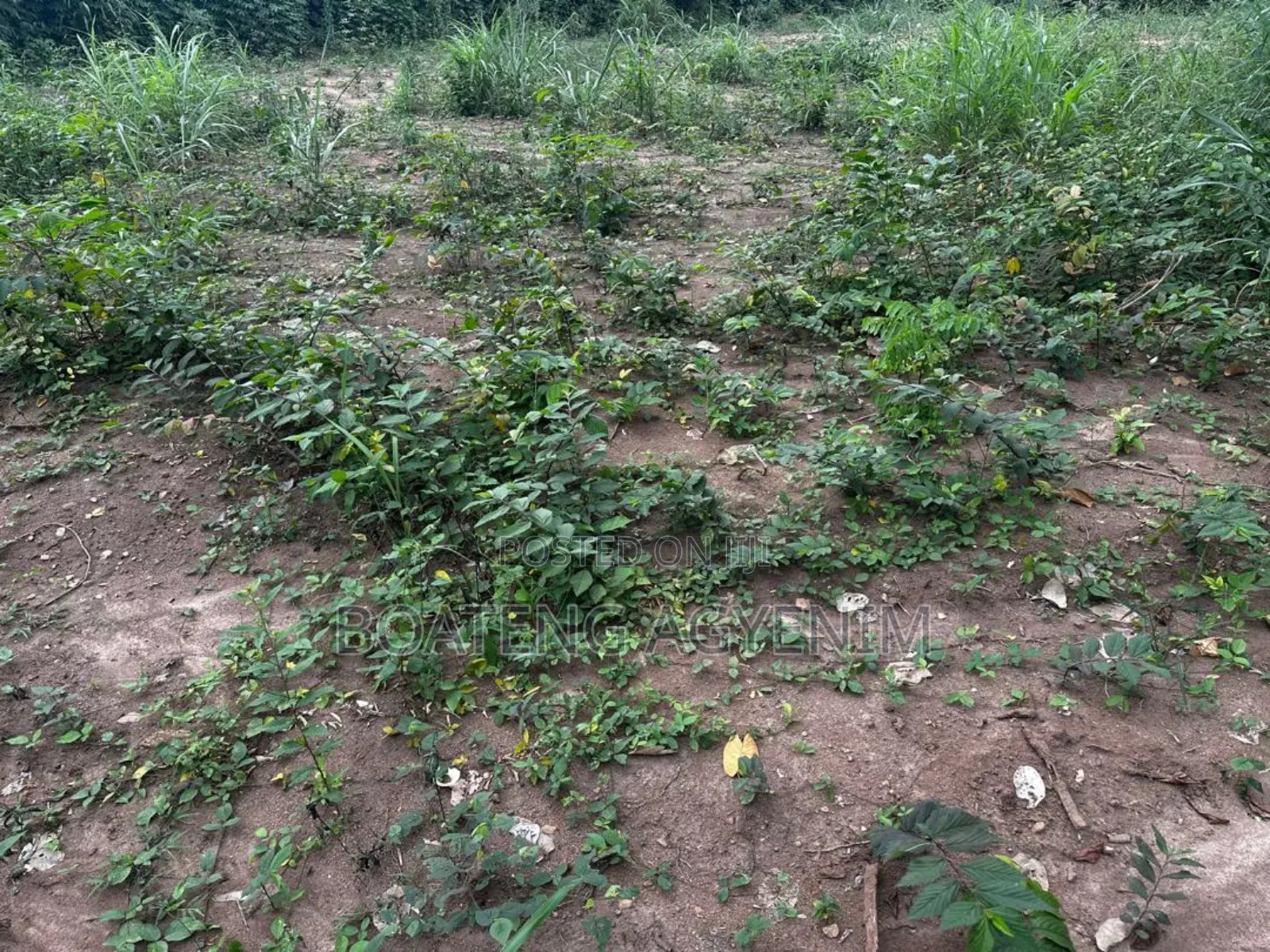 Half Plot for Sale