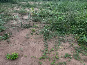 Half Plot for Sale
