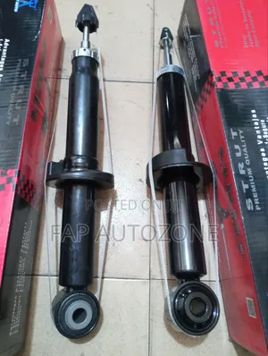 Authentic FCS Ford F150 Strut Without Spring Assembly From USA