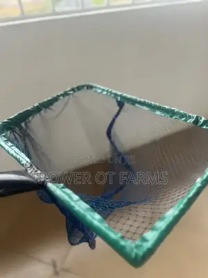 Winneba Scoop Net