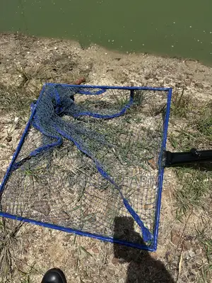 Winneba Scoop Net