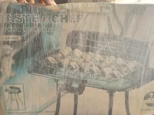 Electric Barbeque