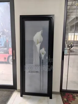 Bathroom Doors