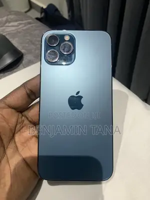 Apple iPhone 12 Pro Max 256 GB Blue