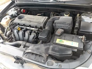 Hyundai Sonata 2010 Gray