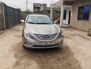Hyundai Sonata 2010 Gray