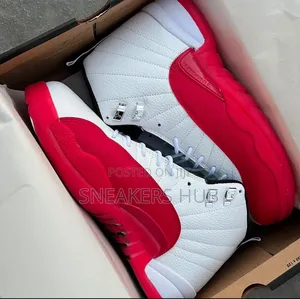 Air Jordan 12 Retro