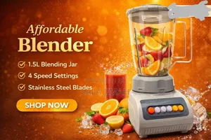 Stainless Steel Blender