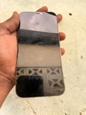 Apple iPhone 12 Pro Max 256 GB Gray