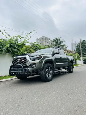 Toyota Tacoma 2019 Gray