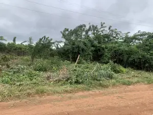 1 Plot of Land With Documents for Sale at OYIBI Behind Ayensu Estate.
