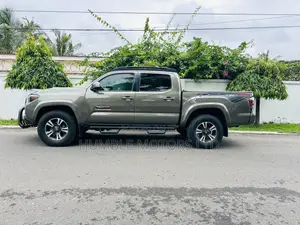 Toyota Tacoma 2019 Gray