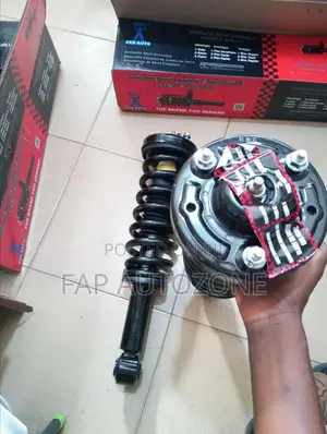 01214. Genuine FCS Ford F150 Complete Strut With Spring From USA