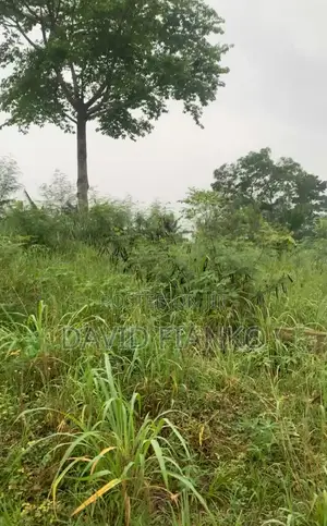 Acres of Mixed and Farm Land at Nsawam.