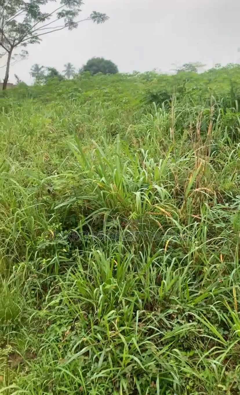 Acres of Mixed and Farm Land at Nsawam.