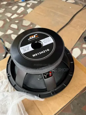 JAC Professional MS12H21G 12-Inch Naked Speaker (1pair)[Single Magnet]