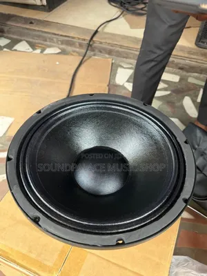 JAC Professional MS12H21G 12-Inch Naked Speaker (1pair)[Single Magnet]