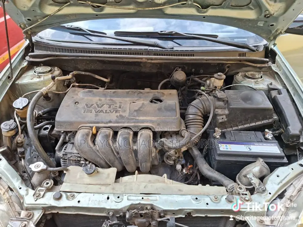 Toyota Corolla LE 2007 Green