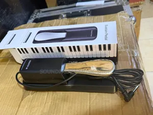 M-Audio Sustain Pedal