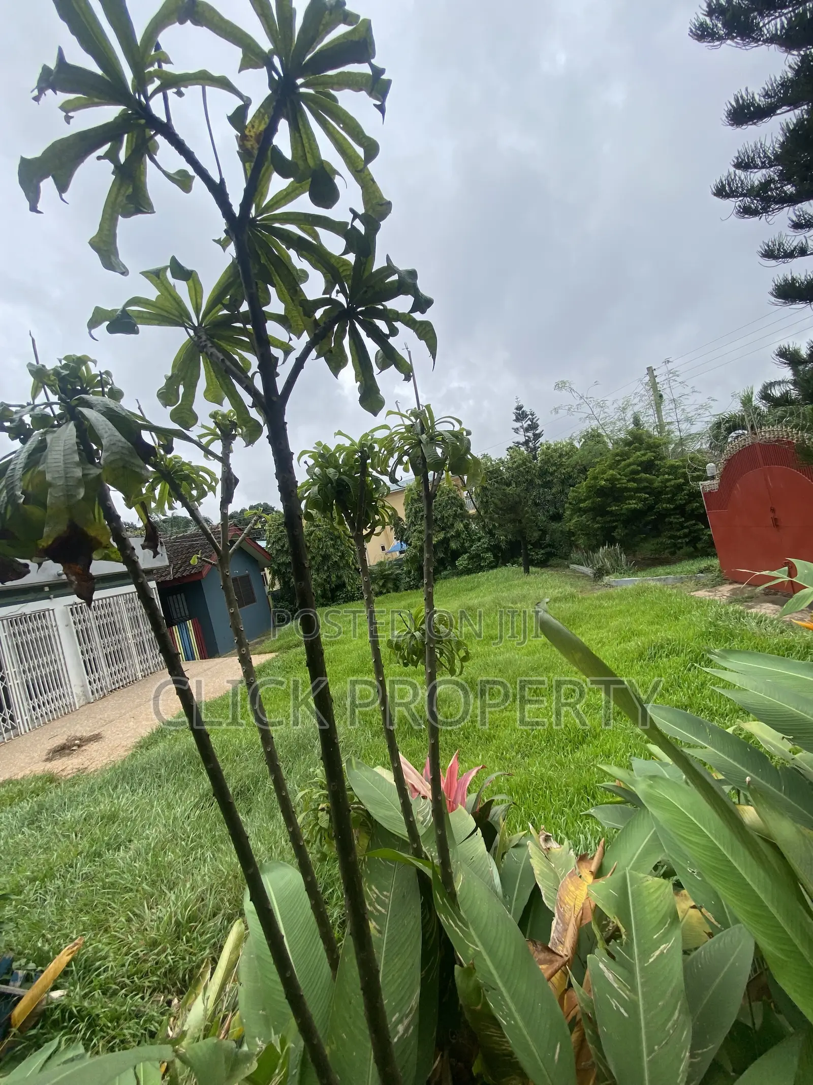 8bdrm House in Click Properties, Ability for rent