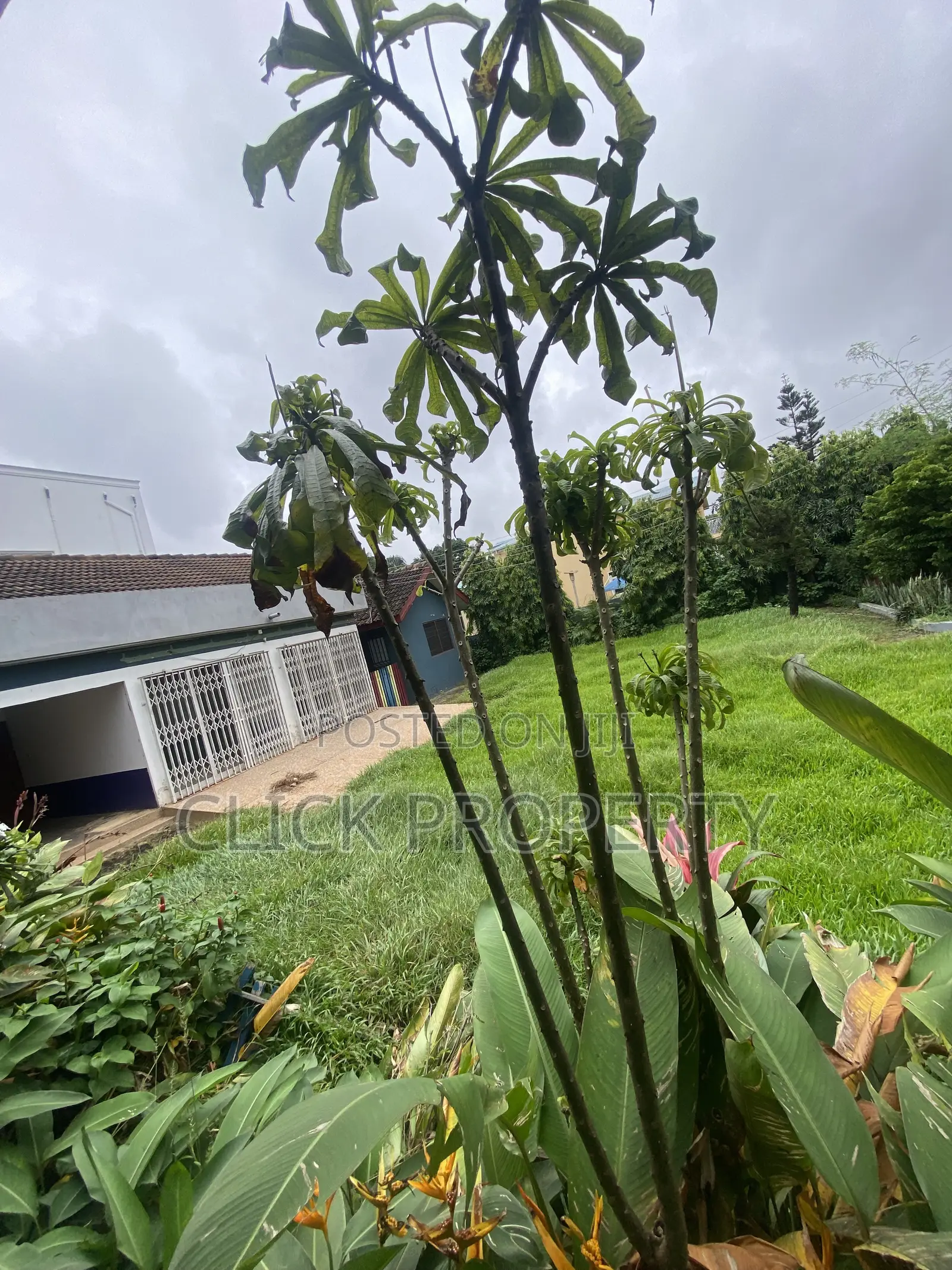 8bdrm House in Click Properties, Ability for rent