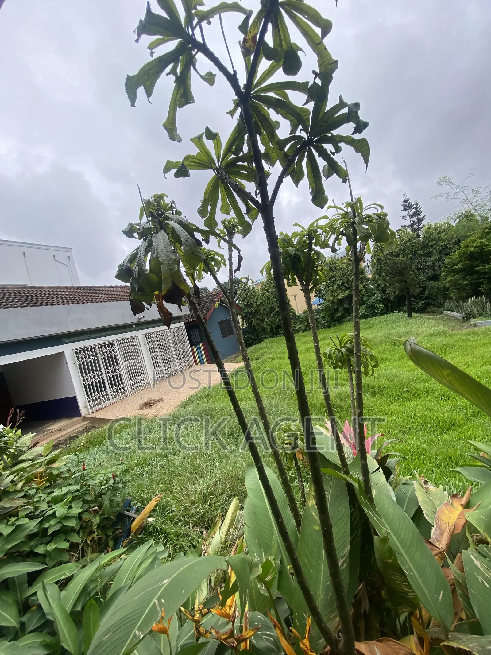 8bdrm House in East Legon for rent