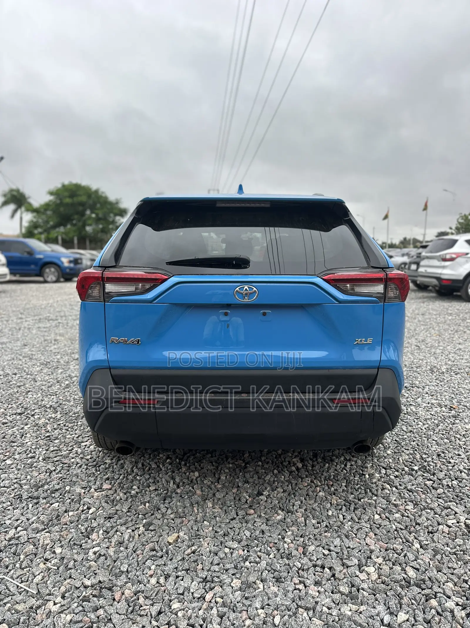 Toyota RAV4 XLE AWD 2019 Blue