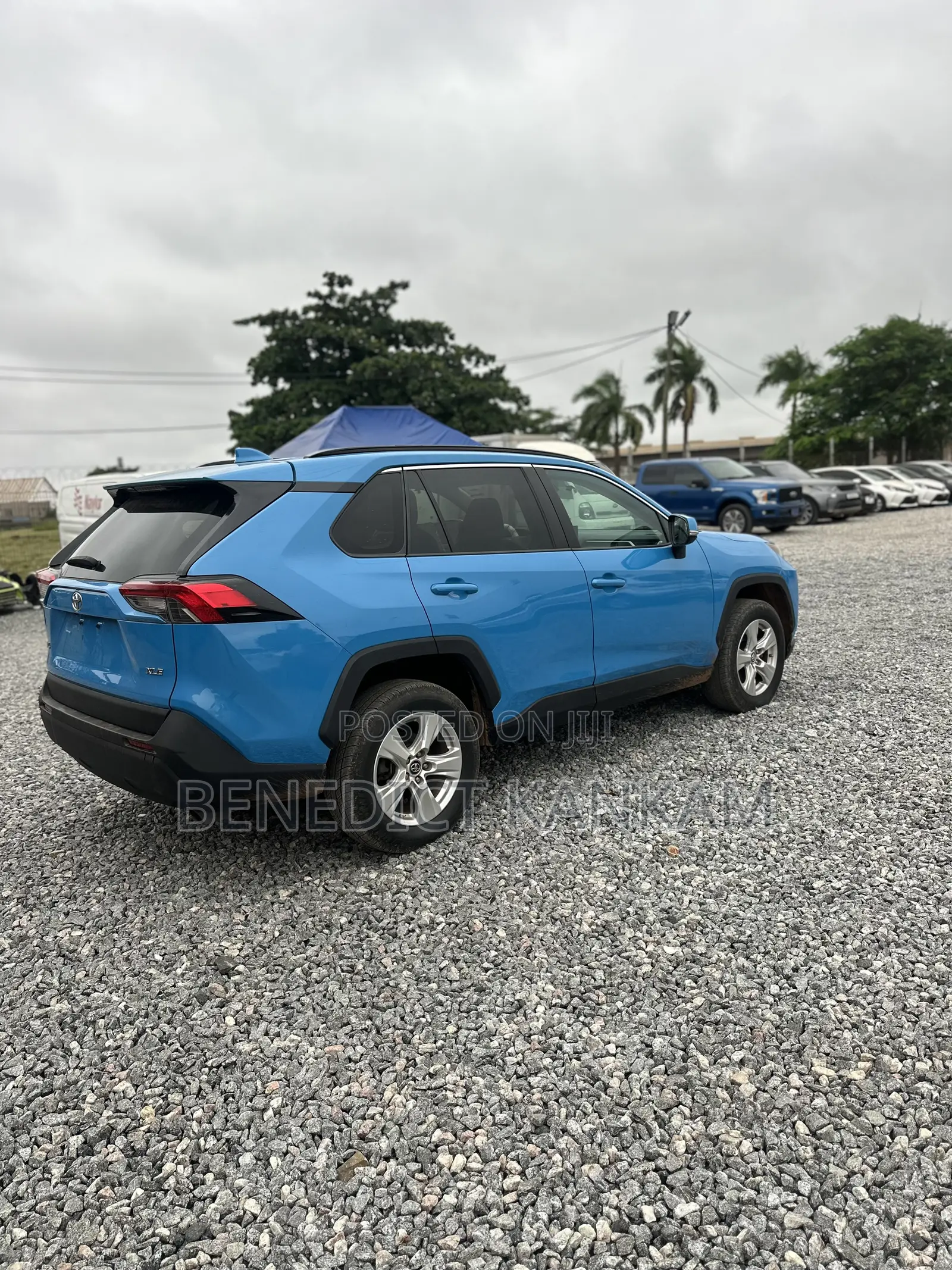 Toyota RAV4 XLE AWD 2019 Blue
