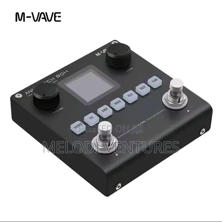 Bass and Lead Guitar Effect Board
